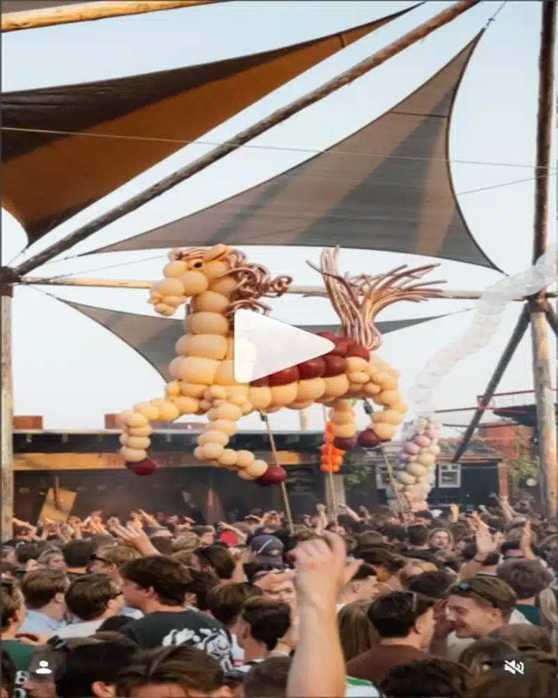 Pegassi at Thuishaven